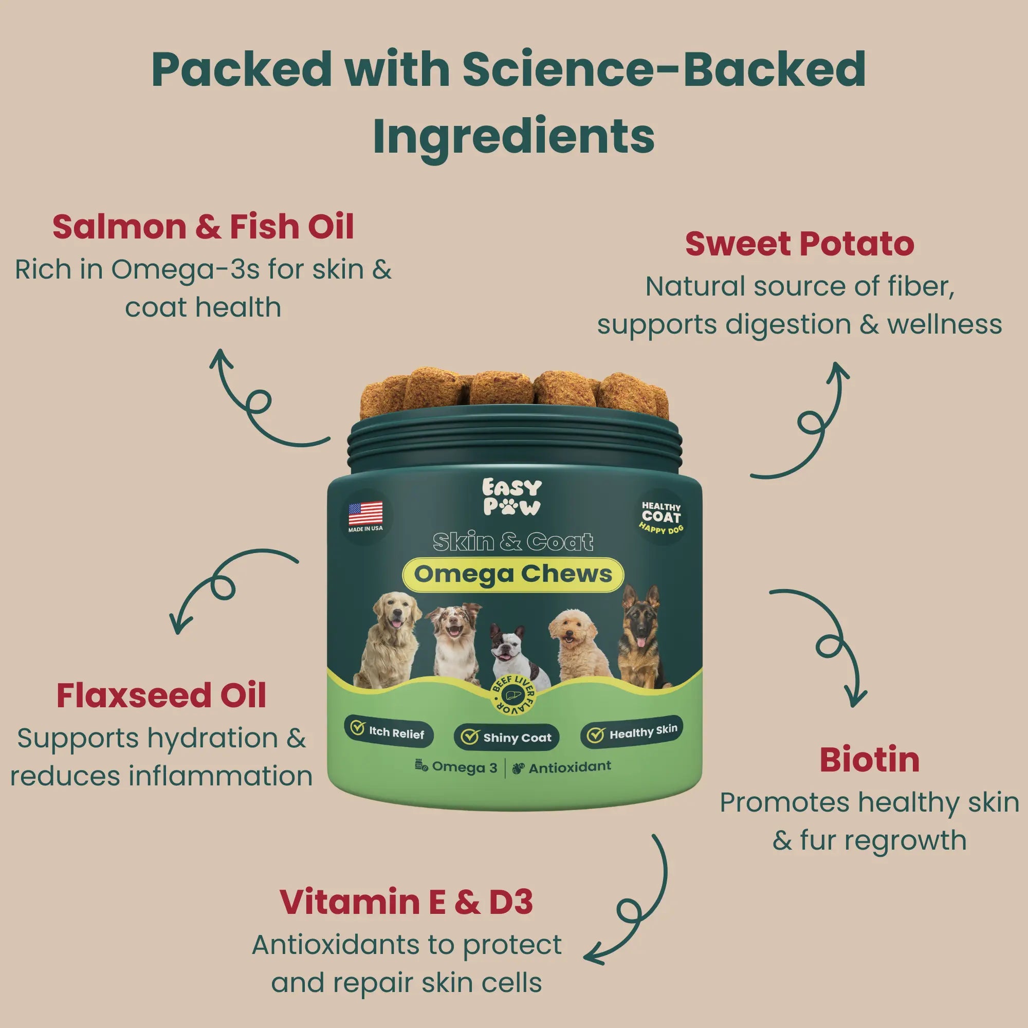 EasyPaw™ Skin & Coat Supplement