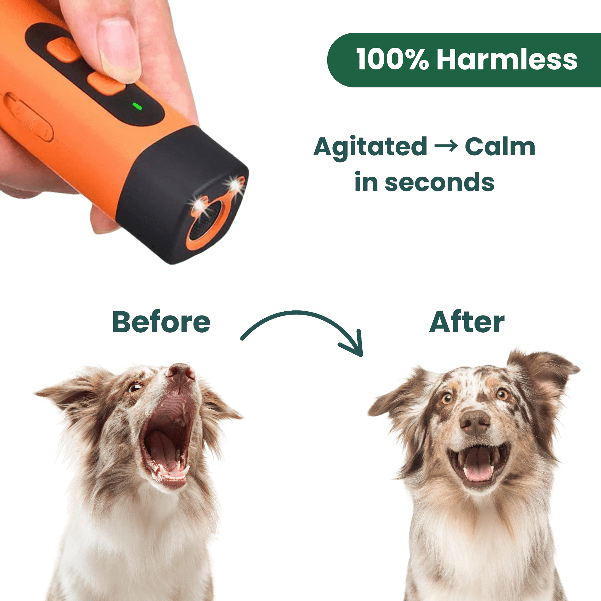 EasyPaw™ Bark Stopper - Easypaw