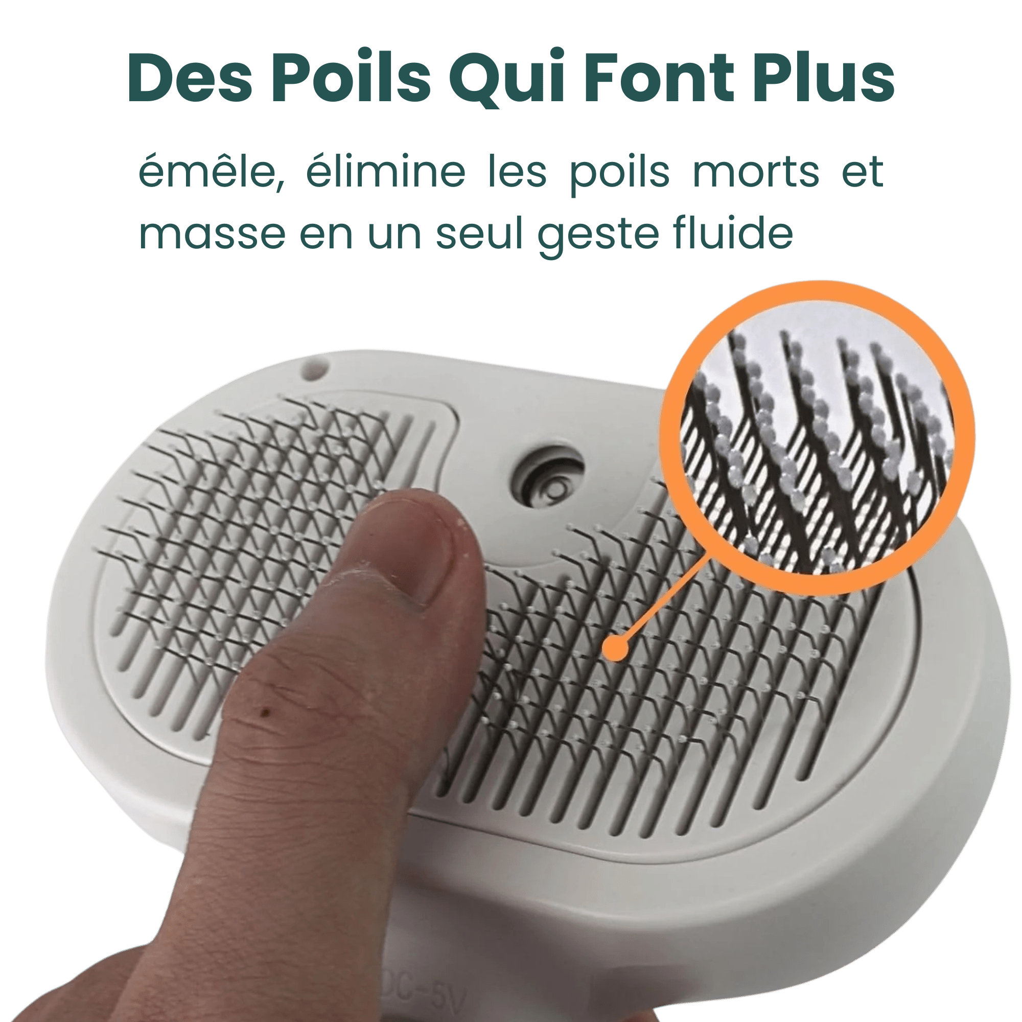 EasyPaw™ Steam Brush - Easypaw