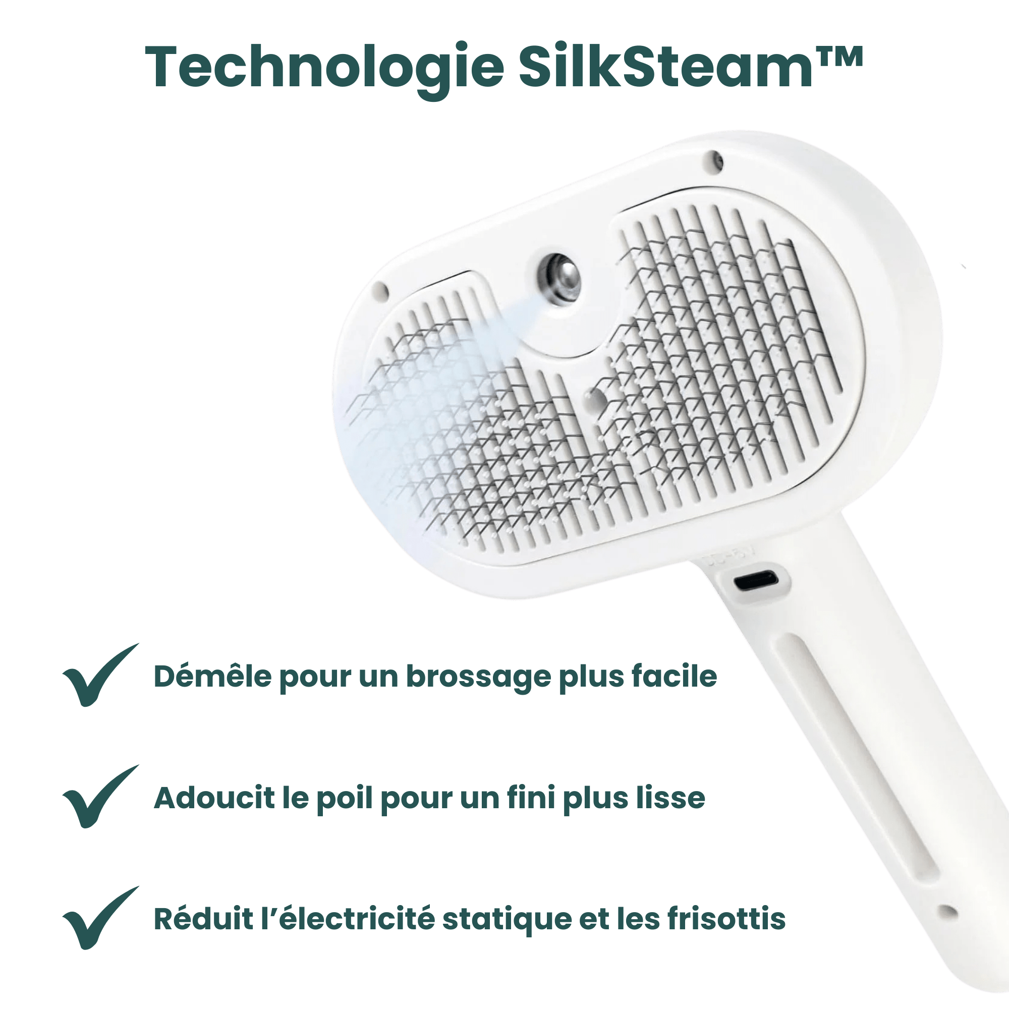 EasyPaw™ Steam Brush - Easypaw